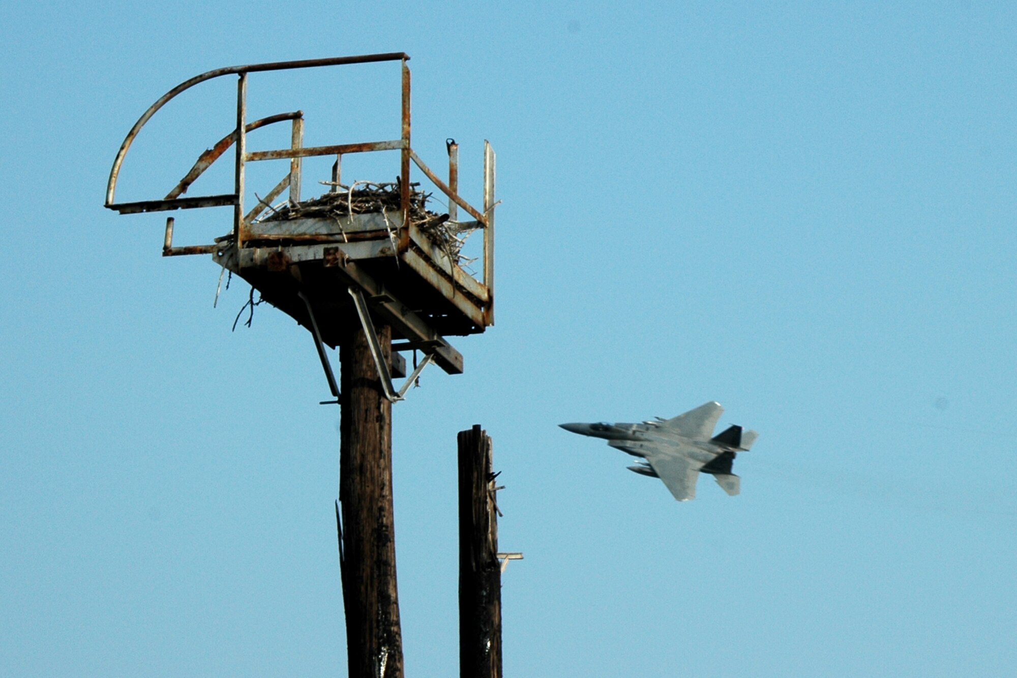 An eagle nest on station was there long before the F-15C Eagles arrived for training. The 60th Fighter Squadron from the 33d Fighter Wing at Eglin Air Force Base, Fla., deployed 16 F-15Cs and more than 200 personnel June 15 for two weeks of dissimilar air combat training as an exercise in joint training operations with the Navy at Naval Air Station Key West, Fla. (Photo by Jenna McMullin, 33d Fighter Wing Public Affairs)