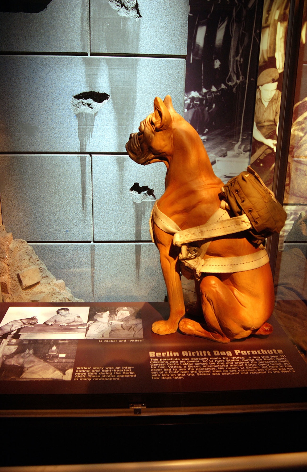 DAYTON, Ohio -- Berlin Airlift dog parachute on display at the National Museum of the United States Air Force. (U.S. Air Force photo)