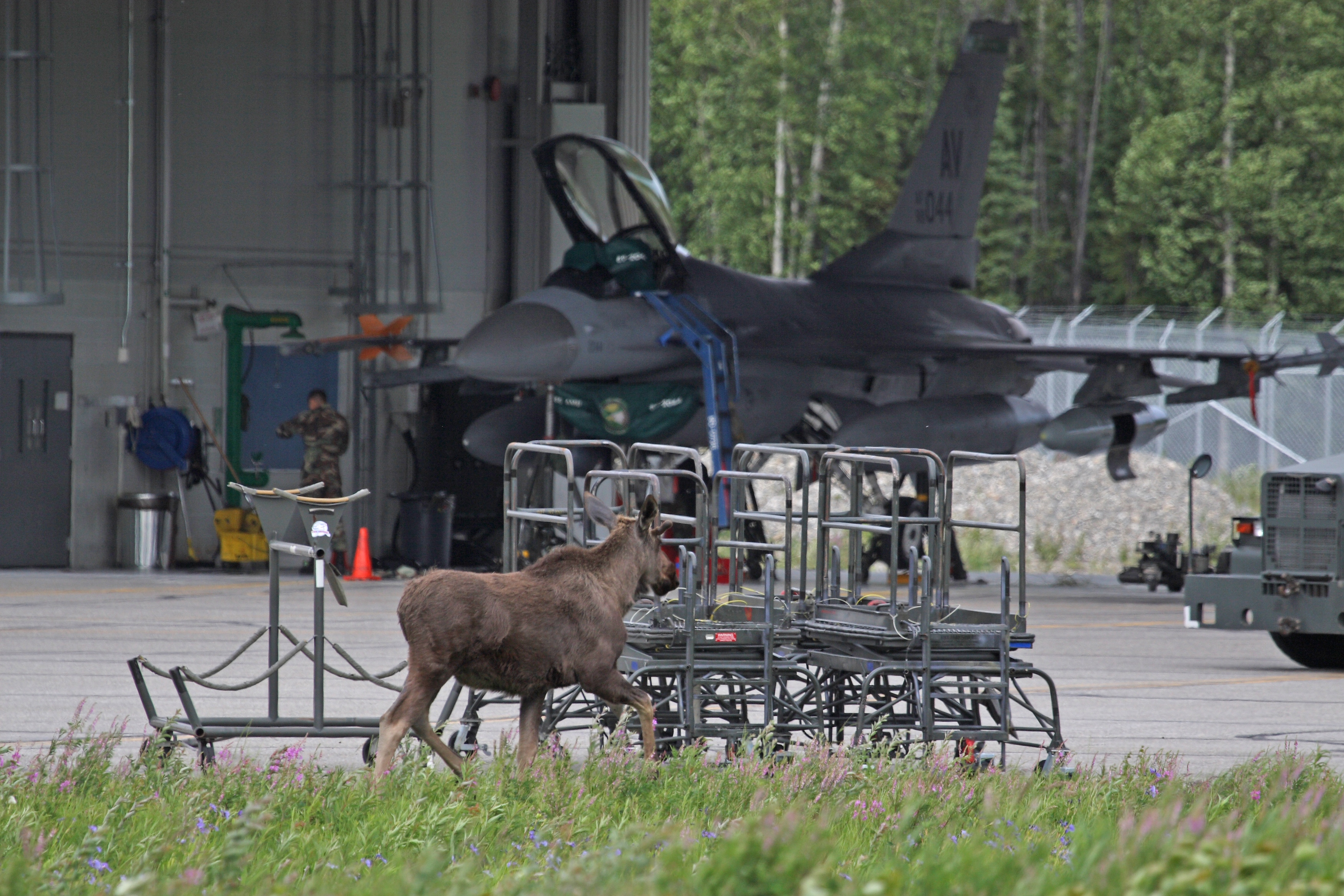 Can I hitch a ride? > Pacific Air Forces > Article Display