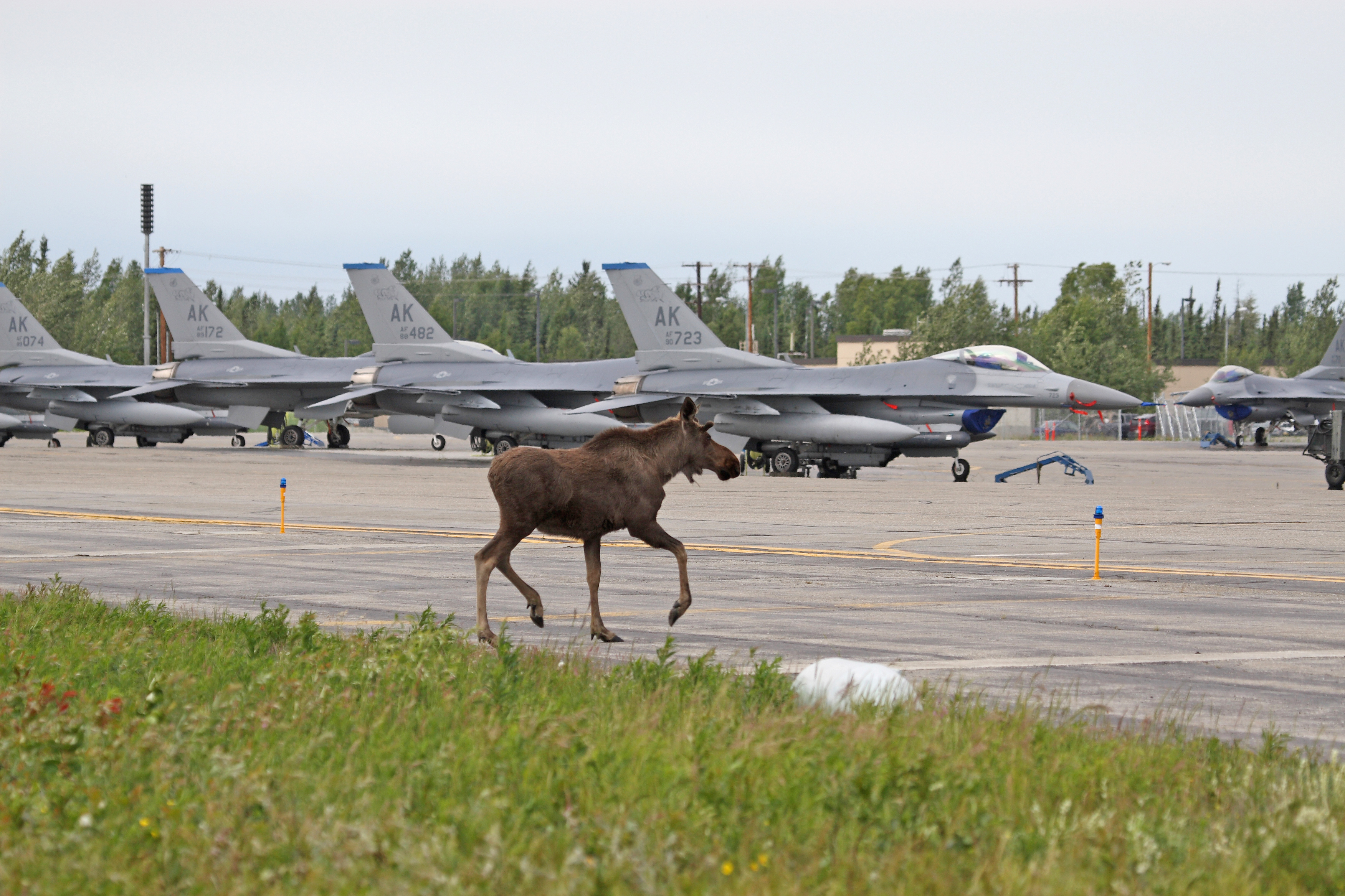 Can I hitch a ride? > Eielson Air Force Base > Display