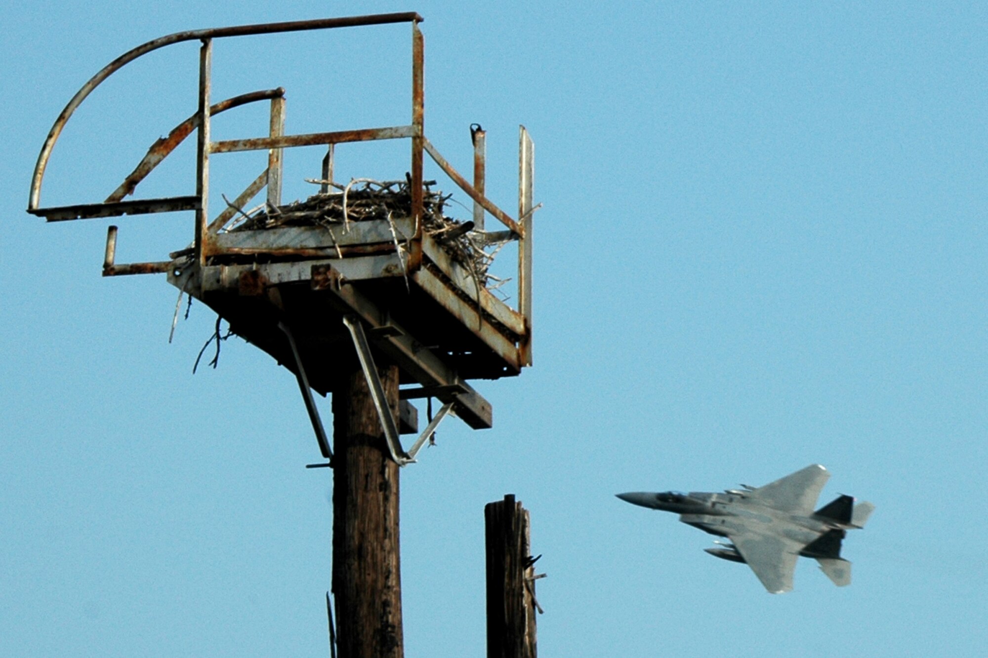 NAVAL AIR STATION KEY WEST, Fla. -- An eagle nest on station was there long before the F-15C Eagles arrived for training. The 60th Fighter Squadron from the 33rd Fighter Wing at Eglin Air Force Base, Fla., deployed 16 F-15Cs and more than 200 personnel June 15 for two weeks of dissimilar air combat training as an exercise in joint training operations with the Navy. (U.S. Air Force photo by Jenna McMullin)