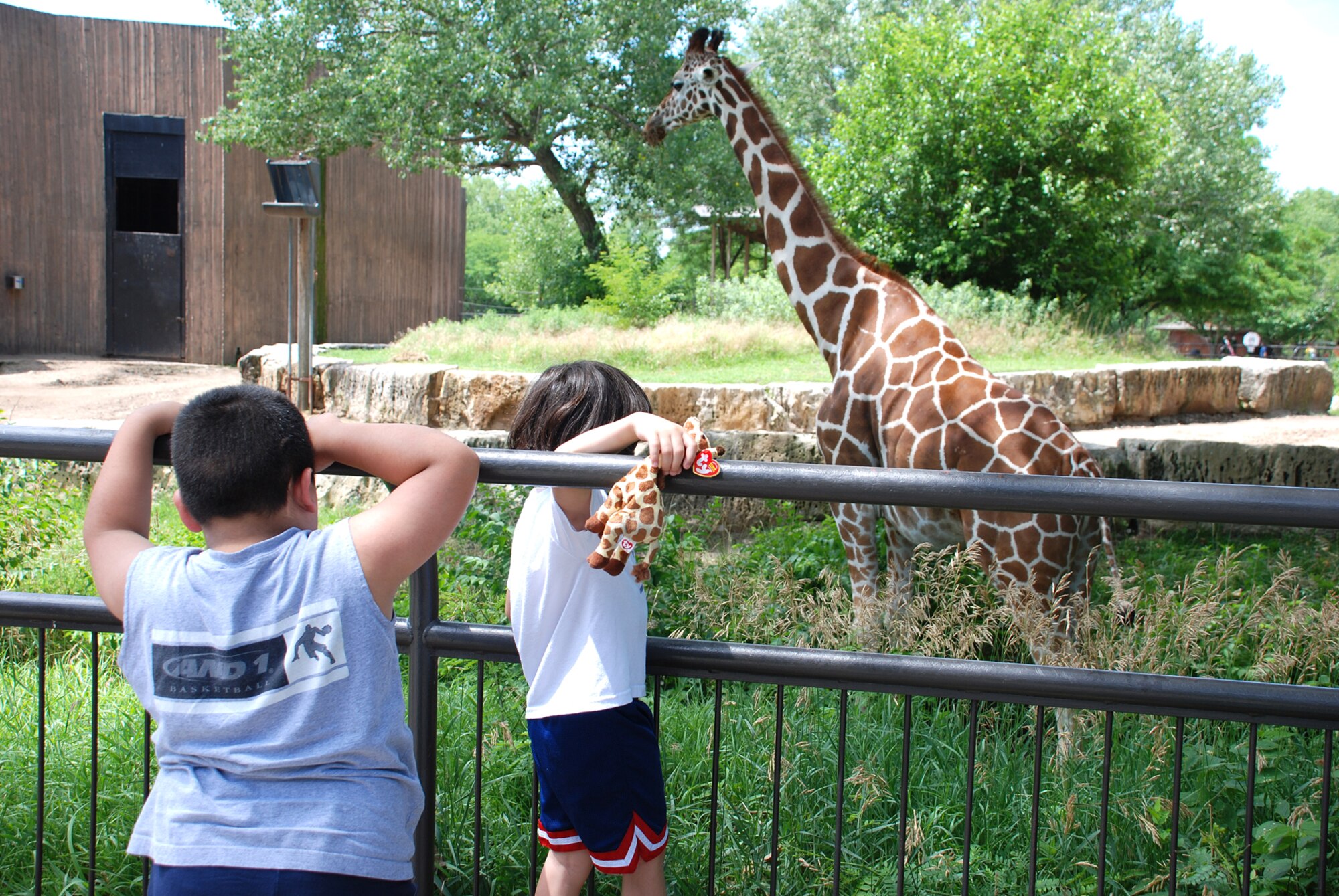 Abbiel and Abdiel Cruz, sons of deployed Staff Sgt. Julio Cruz, 22nd Aircraft Maintenance Squadron, watch a giraffe through the gate at the zoo June 23. Spouses and children of deployed McConnell members gathered together with the Hearts Apart program and had the opportunity to send messages through video communication to their loved ones. (Photo by Airman 1st Class Jessica Lockoski)