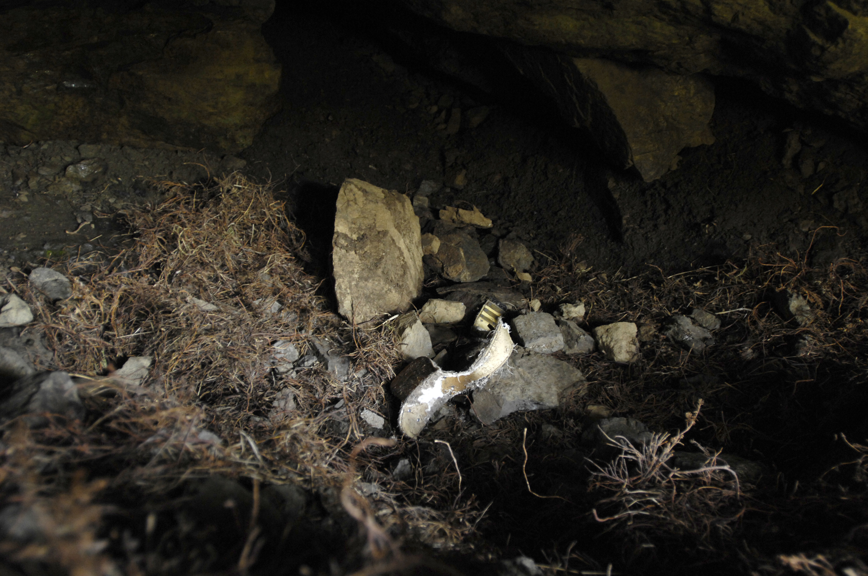 Wilderness Retrieval, image size:3000x1993