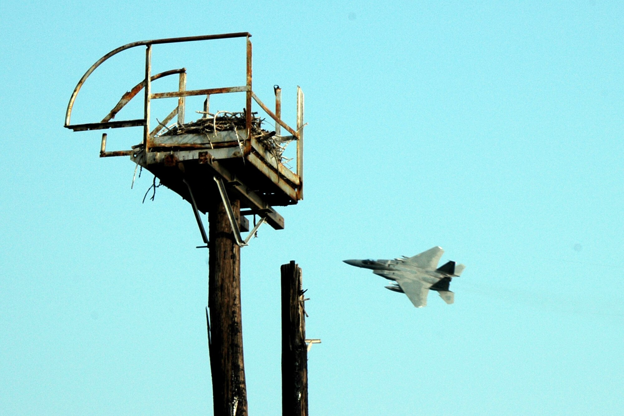 An F-15 Eagle flies by an eagle nest at Naval Air Station Key West, Fla. The 60th Fighter Squadron from Eglin Air Force Base, Fla., deployed 16 F-15s and more than 200 Airmen June 15 for two weeks of dissimilar air combat training as an exercise in joint training operations with the Navy. (U.S. Air Force photo/Jenna McMullin)

