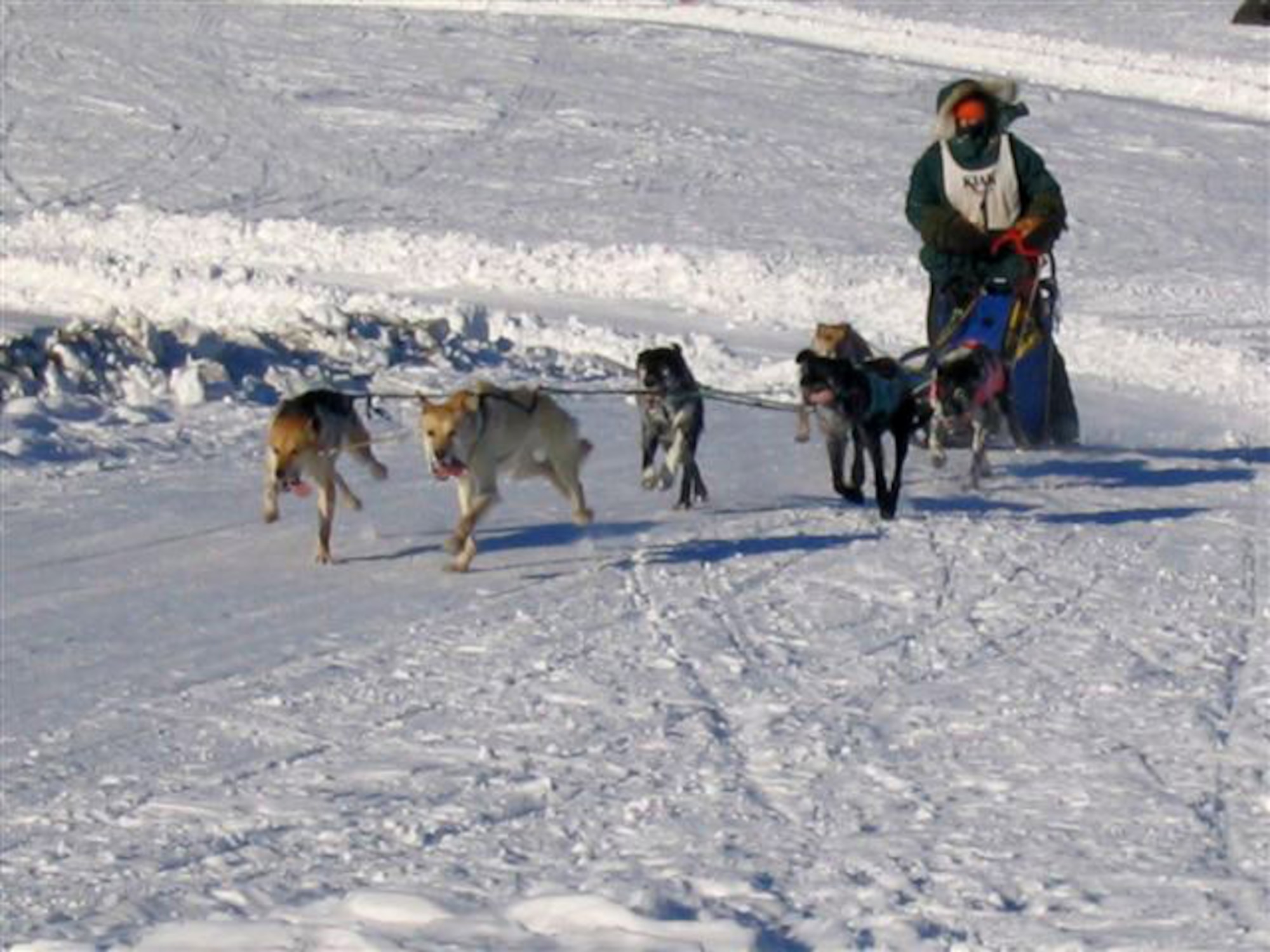 A musher and his dog sled team race past a checkpoint Feb. 24 during the Yukon Quest. The Yukon Quest is a 1,000-mile international sled dog race held annually in Alaska. Mushers race through territory from Whitehorse to Fairbanks. Airmen from Eielson helped man the final check-point, North Pole Dog Drop. (U.S. Air Force photo/Master Sgt. Robert Wieland) 