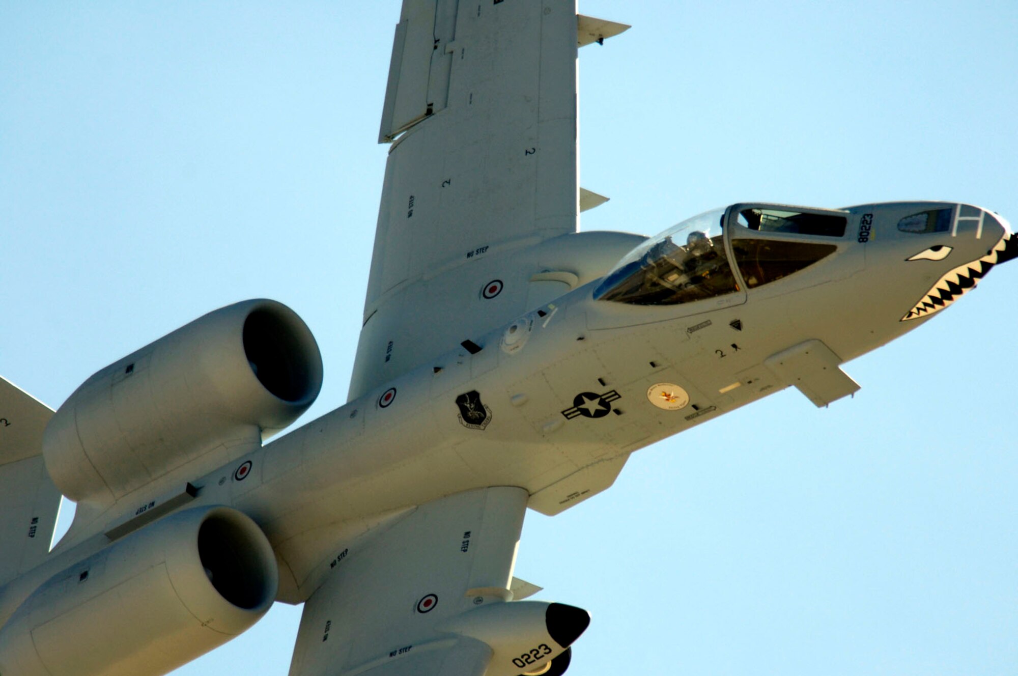 An A-10 Thunderbolt II pilot from Air Combat Command's East Coast Demonstration Team performs aerial maneuvers March 3 at the 2007 Heritage Conference at Davis-Monthan Air Force Base, Ariz.  The conference provides an opportunity for ACC demonstration pilots to train together with modern and historic military aircraft in preparation for the upcoming air-show season.  The demonstration team is assigned to the 4th Fighter Wing at Pope AFB, N.C.  (U.S. Air Force Photo/Senior Airman Jesse Shipps)