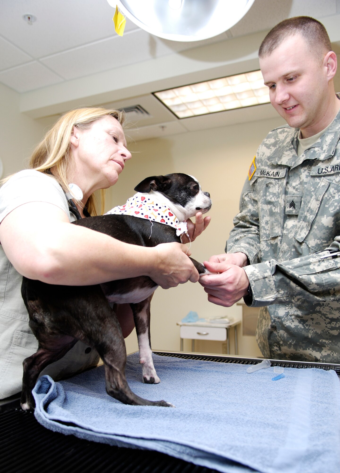 MOUNTAIN HOME AIR FORCE BASE, Idaho -- Dr. Nancy Sutton, base veterinarian, holds onto a canine client as Army Sgt. Jason McKain, veterinarian technician, prepares to draw blood from their patient during a routine checkup at the base veterinary clinic March 6. In addition to providing dedicated medical care for the base’s military working dogs, the clinic provides basic care for pets of military families stationed here. Air Force photo by Airman 1st Class Ryan Crane