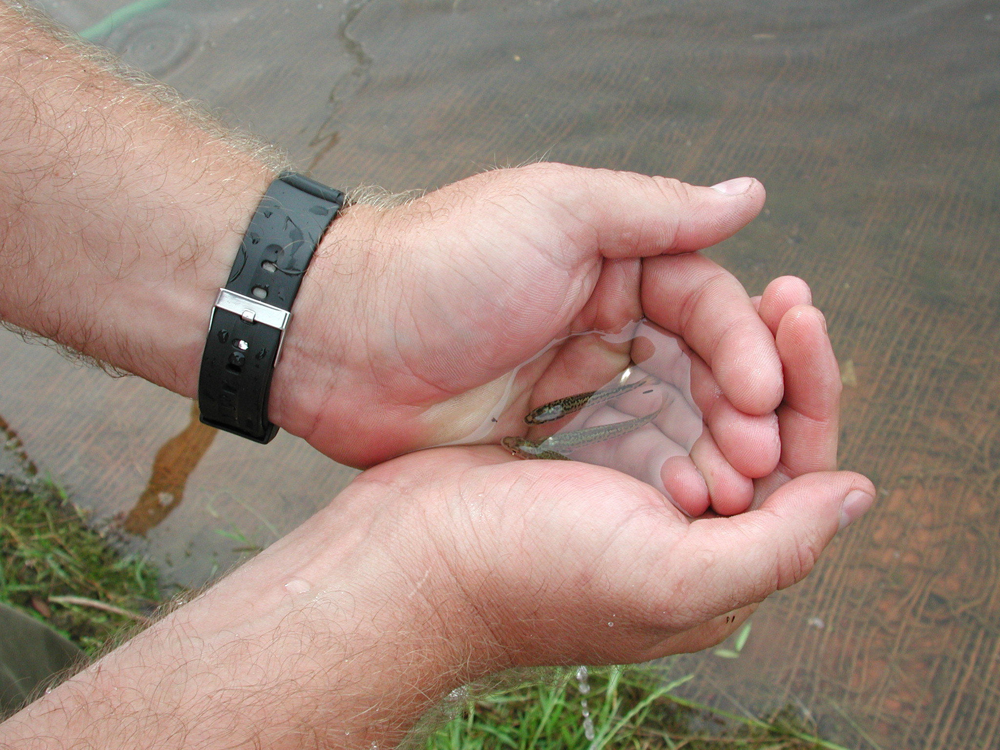 Jackson Guard Reopens Two Fishing Ponds Eglin Air Force Base