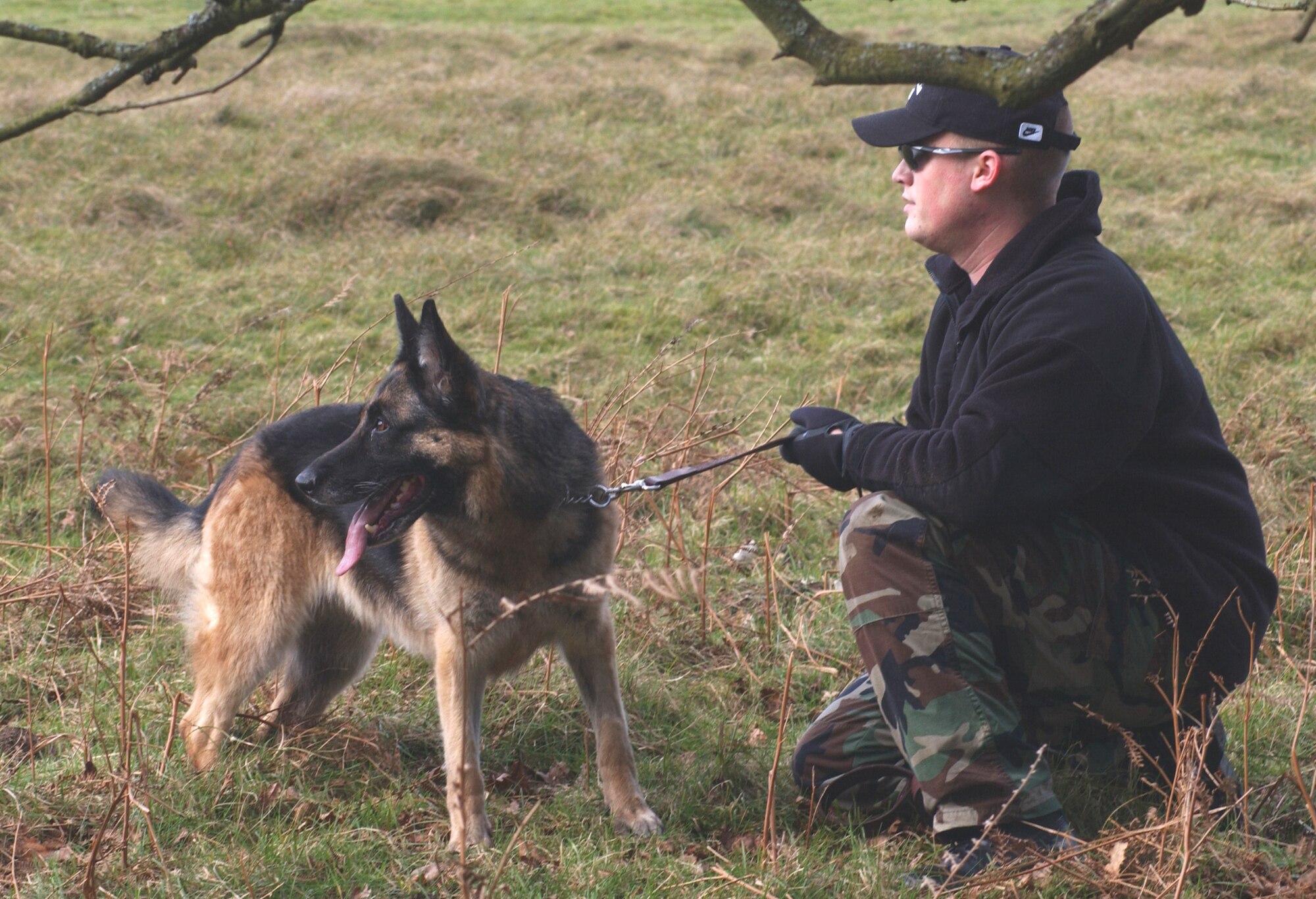 Staff Sgt. Paul Sanders, and K9 dog Beauty from Lakenheath Security Forces participate in combat survival training at Stanta training range near Thetford, England March 6, 2007. (U.S. Air Force photo by Airman Brad Smith)                                                        