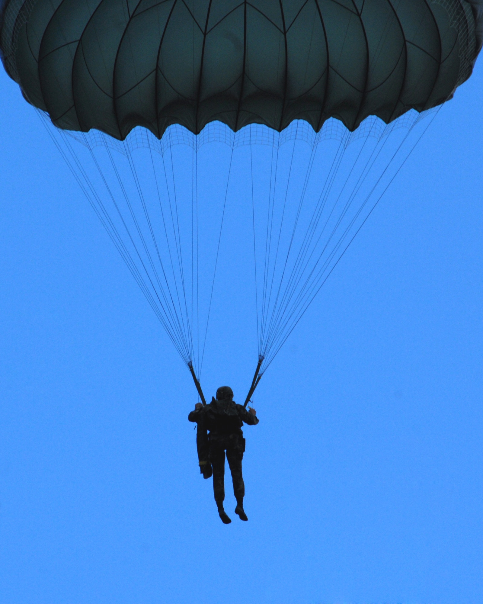 An Airman of the 786th Security Forces from Sembach Annex, Germany parachutes down March 8 during a tactical training exercise over southwestern Germany. (U.S. Air Force photo/Airman Kenny Holston) 