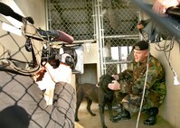 Doris and Tech. Sgt. Jason Eaton, 341st Training Squadron, strike a pose March 12 for a television crew with the Canadian Broadcasting Co. The Lackland Military Working Dog Program, the largest in the world, will be featured in an hourlong documentary into the world and culture of dogs.  The three-person crew, which spent a day and half filming at Lackland Air Force Base, Texas, will also travel to England to film a dog training facility there. The documentary will air this fall. (USAF photo by Robbin Cresswell)