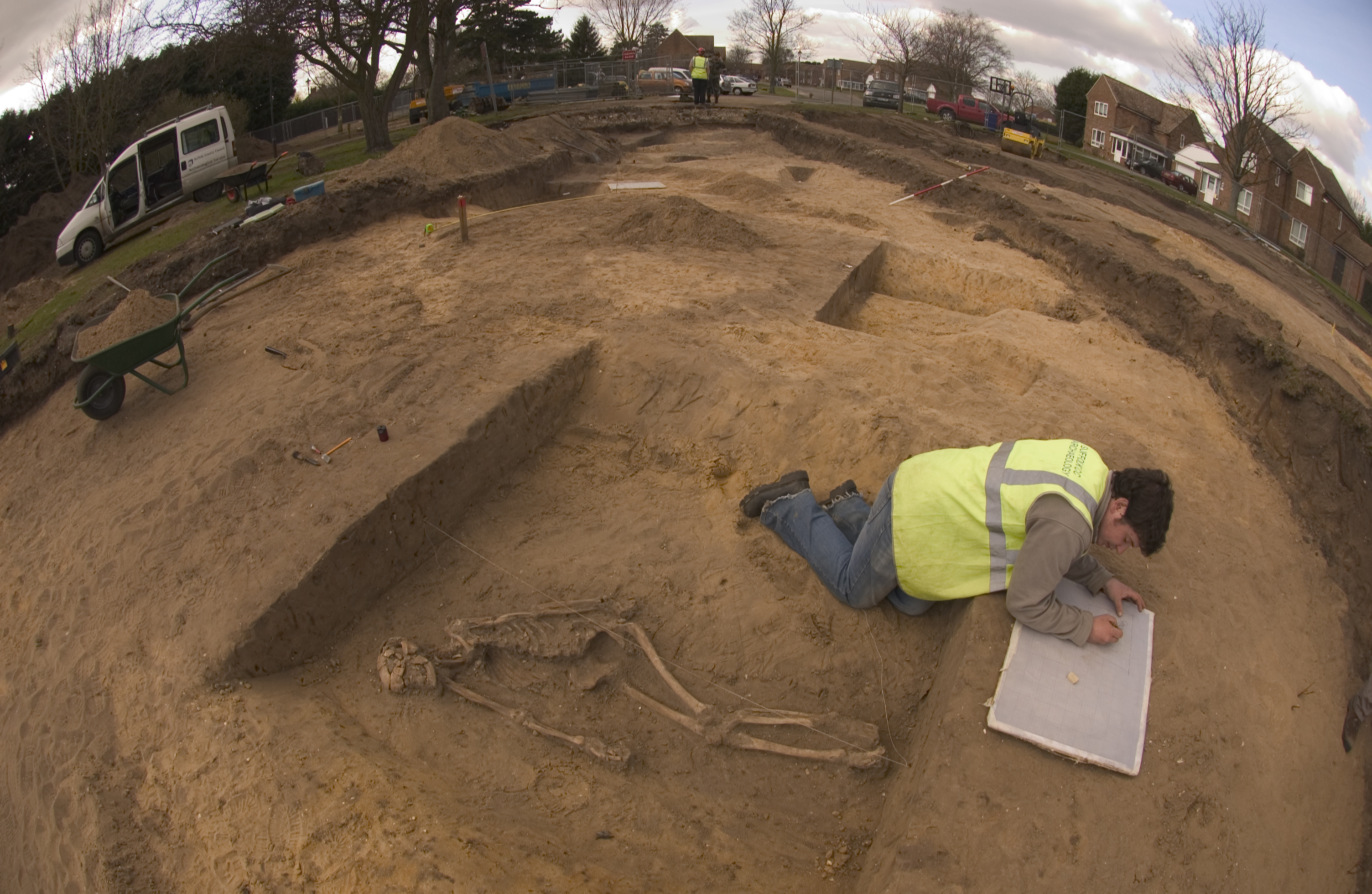bone digging