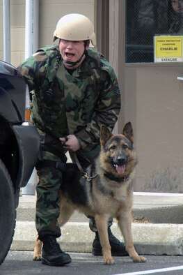 Staff Sgt. Anthony Caskey, 66th Security Forces Squadron, and his Military Working Dog partner, Mix, respond to a “threat” at Hanscom March 13 during the Base Readiness Exercise. K-9 units are regularly used as a crime deterrent. (US Air Force Photo by Linda LaBonte Britt)
