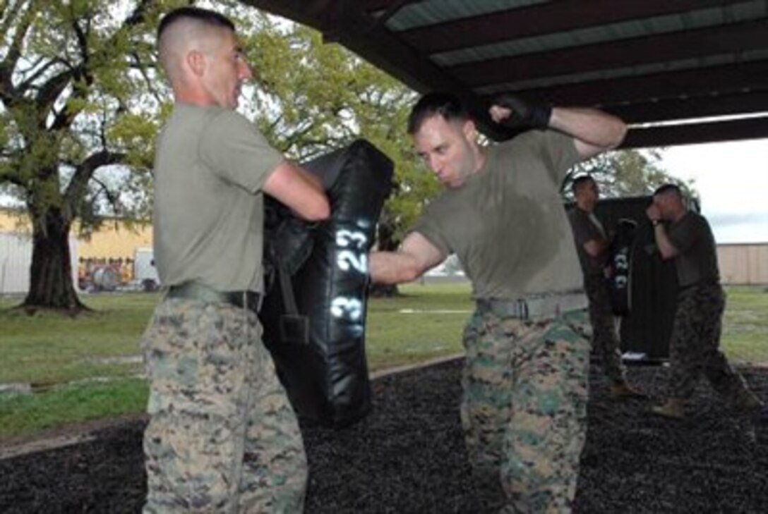 A U.S. Marine strikes a punching bag as part of green belt martial arts class hosted by the 3rd Marine Expeditionary Unit, 23rd Battalion in New Orleans, La., March 15, 2007. The course certifies the attendees as instructors in disciplined forms of unarmed combat. 