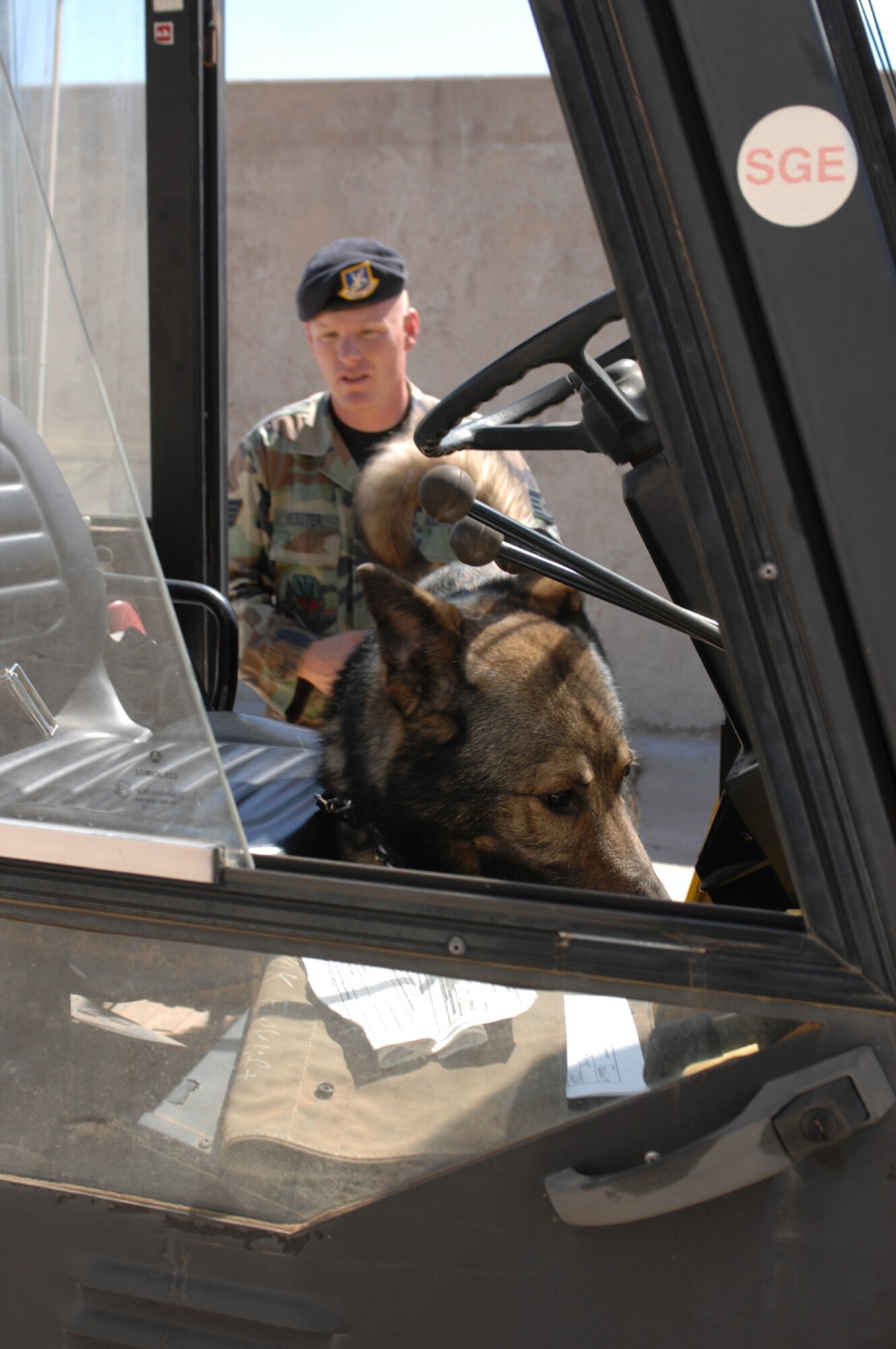 Staff Sgt. Johsua Webster, 7th Security Forces Squadron K-9 handler, waits for his partner, Bonnie to sniff an object out during a dectection training session March 15. When a K-9 has found what it is looking for, it will let its handler know by sitting, barking or pawing at the object, depending on how the K-9 was trained. (U.S. Air Force photo by Airman Jennifer Romig)