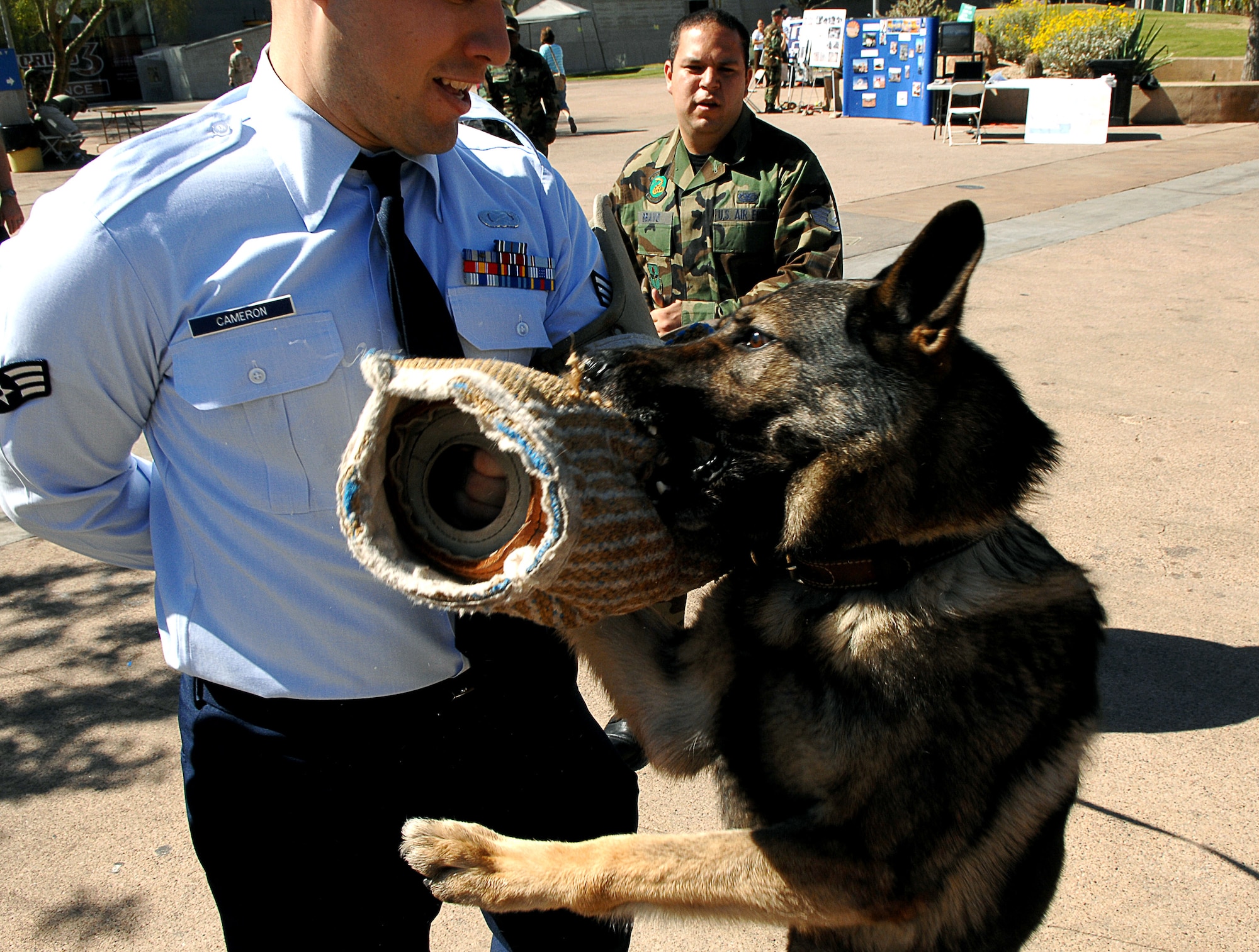 Senior Airman Brad Cameron catches a security forces working dog March 20 during an Air Force Week event at the Arizona Science Center in downtown Phoenix. The dogs were on hand to show visitors the role of dog handlers in the Air Force. (U.S. Air Force photo/Staff Sgt. Brian Ferguson)