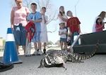 Ginobili, a giant Tegu lizard, gets a flickering taste of Lackland Air Force Base, Texas, while traveling on the SeaWorld and Busch Gardens Animal Adventures Tour Vehicle. The 38-foot tour vehicle, with its various reptiles and birds, was on base March 15 to give Team Lackland a chance to meet and interact with the animals. The Animal Adventures Tour Vehicle will visit more than 20 of the nation's largest cities during the tour year. (USAF photo by Robbin Cresswell)
