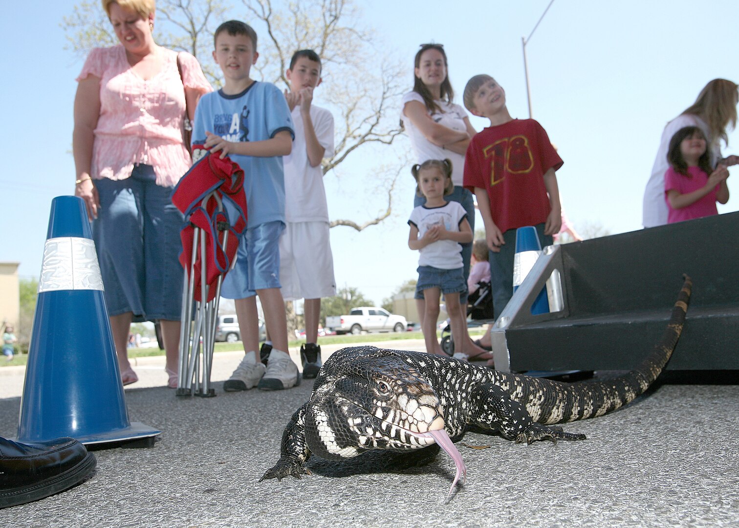 Ginobili, a giant Tegu lizard, gets a flickering taste of Lackland Air Force Base, Texas, while traveling on the SeaWorld and Busch Gardens Animal Adventures Tour Vehicle. The 38-foot tour vehicle, with its various reptiles and birds, was on base March 15 to give Team Lackland a chance to meet and interact with the animals. The Animal Adventures Tour Vehicle will visit more than 20 of the nation's largest cities during the tour year. (USAF photo by Robbin Cresswell)