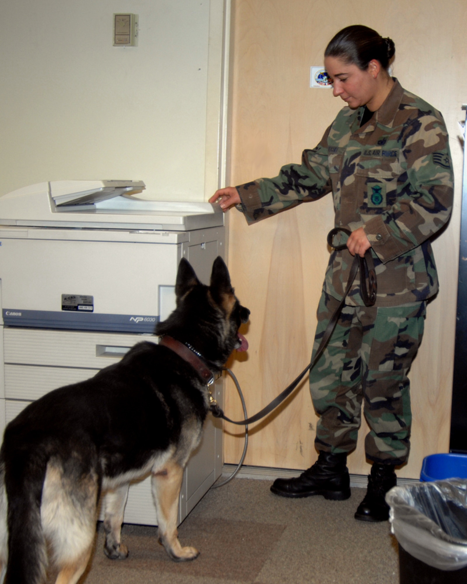 Staff Sergeant Jeanette Reichel, 66th Security Forces Squadron, and her Military Working Dog, Petya, a 6-year old German Sheppard, tattoo F-028 perform a search during her K-9 handler certification test. Sergeant Reichel entered the Hanscom history books on March 21 as the first female dog handler here in the past two decades after successfully completing her certification. (U.S. Air Force Photo by Linda LaBonte Britt)