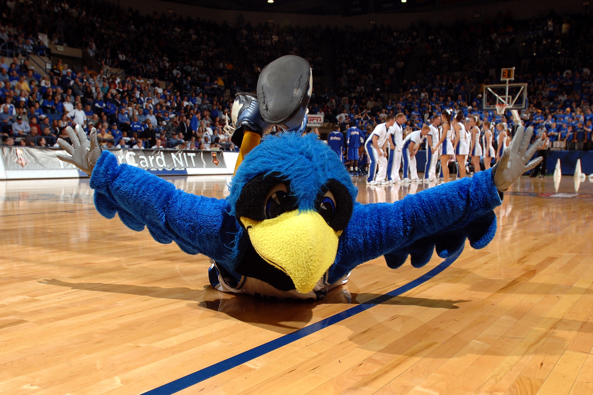 The Bird sticks a landing during a timeout at the Air Force/DePaul NIT quarterfinal game March 21 at Clune Arena. The Falcons edged the Blue Demons 52-51 for a berth in the NIT semifinals in New York City's Madison Square Garden March 27 against Clemson. (U.S. Air Force photo/Danny Meyer)