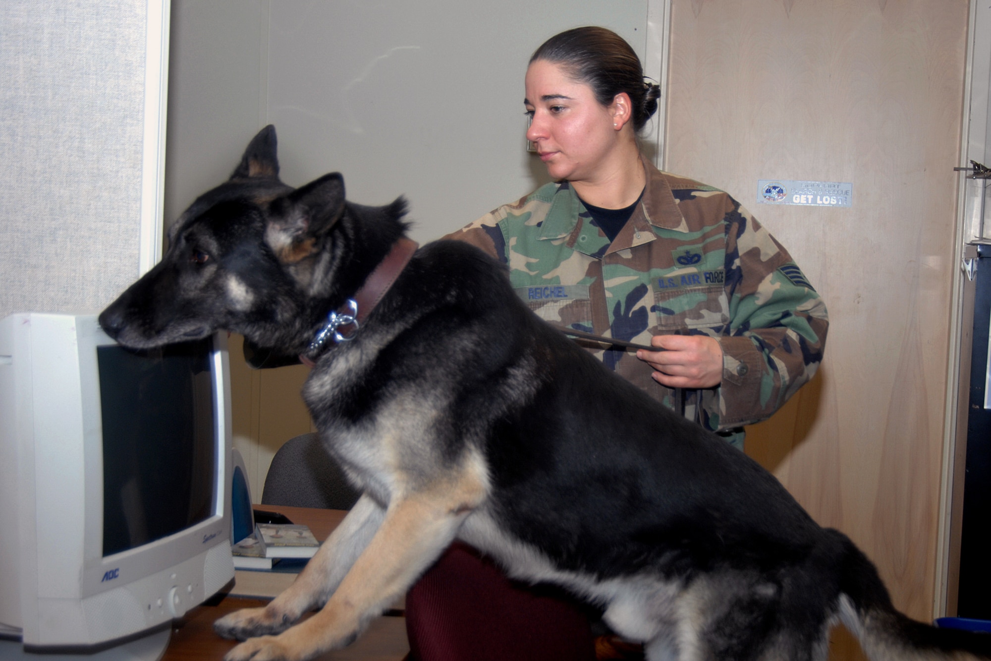 Staff Sergeant Jeanette Reichel, 66th Security Forces Squadron, and her Military Working Dog, Petya, a 6-year old German Sheppard, tattoo F-028, perform a search during her K-9 handler certification test. Sergeant Reichel entered the Hanscom history books on March 21 as the first female dog handler here in the past two decades after successfully completing her certification. (U.S. Air Force Photo by Linda LaBonte Britt)