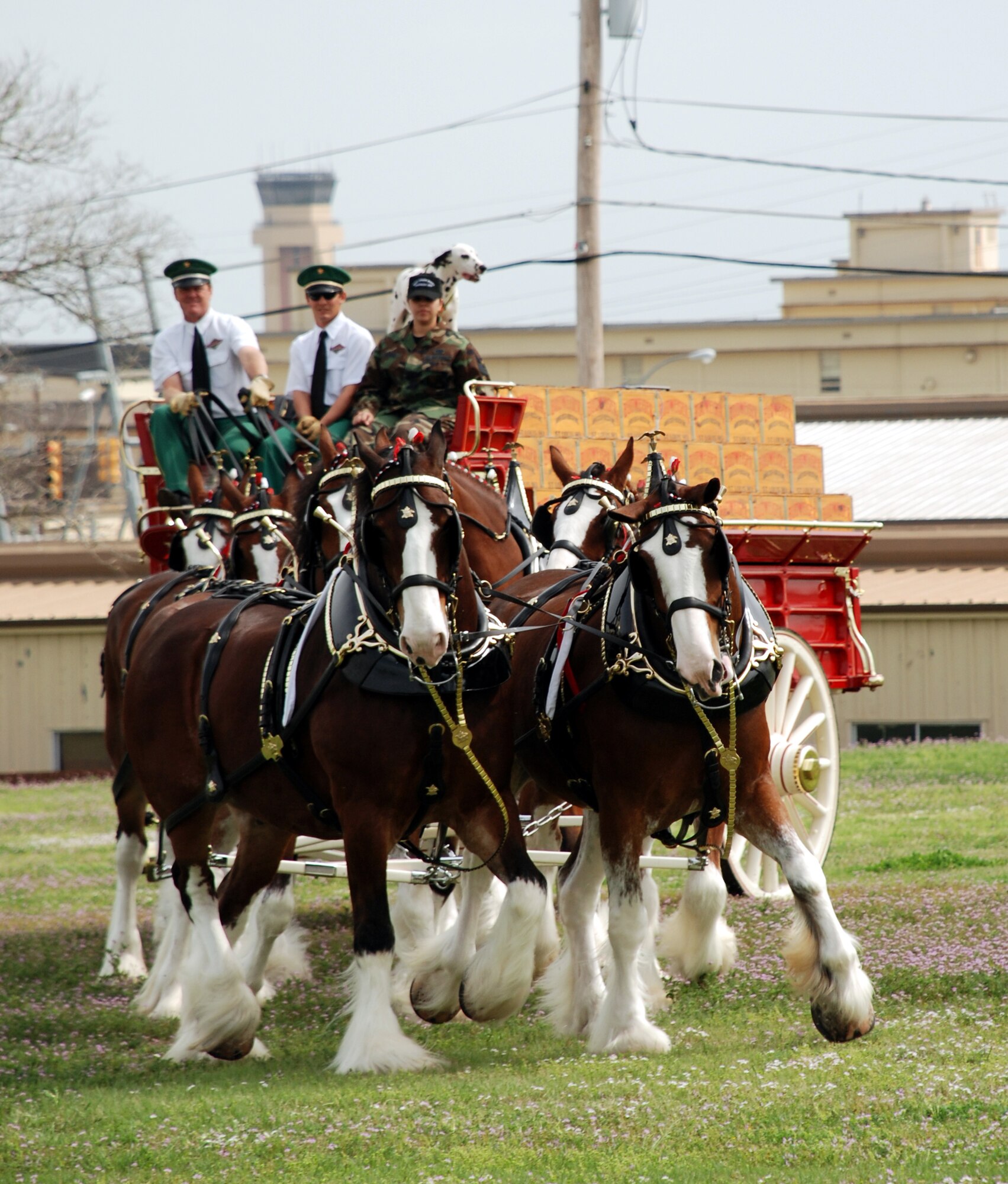 Staff Sgt. Christina Lozano, 82nd Communications Squadron, rides with Anheuser-Busch Clydesdale team drivers Erik Anderson and Doug Bush and the wagons dalmation, Brady, March 22 at the clinic fairgrounds. The team visited Sheppard to say thank you to the armed forces. (U.S. Air Force photo/Airman 1st Class Jacob Corbin)