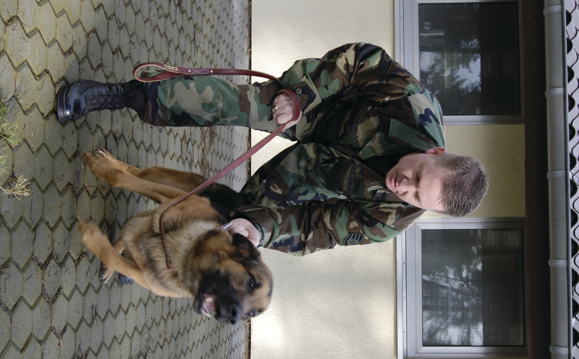 SPANGDAHLEM AIR BASE, GERMANY -- Staff Sgt. Robert Prim, 52nd Security Forces Squadron military working dog handler, prepares to unleash Judy, his German Shepherd, on his assistant during a training session. Judy is an experienced military working dog who has deployed to Iraq. (US Air Force photo/Nick Anderson)