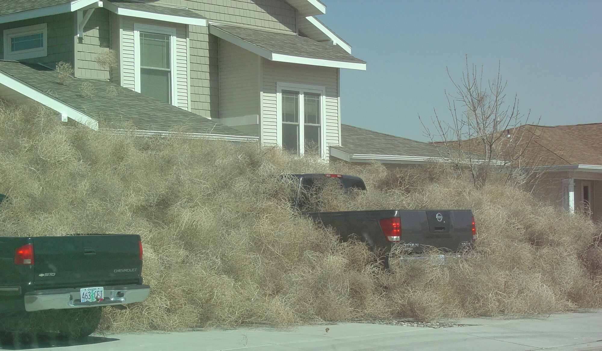A tussle with tumbleweeds > Mountain Home Air Force Base > Article Display