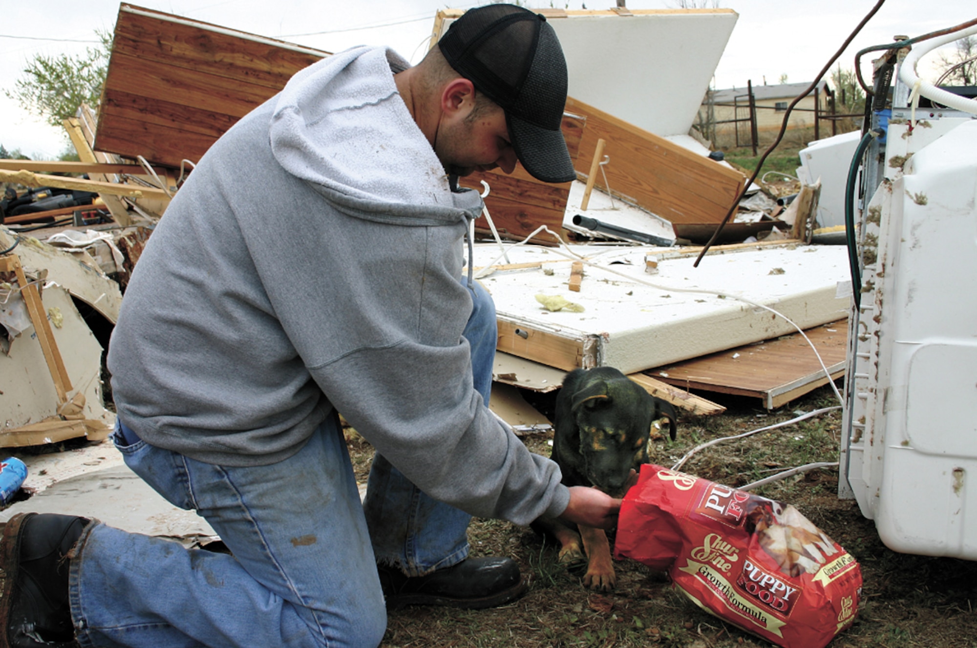 CANNON AIR FORCE BASE, N.M. -- Staff Sgt. Obed Brown, 27th Component Maintenance Squadron, feeds a dog made stray by a tornado that struck Clovis, N.M., March 23. More than 500 volunteers began restoring Clovis, located 6 miles east of Cannon AFB, after tornadoes swept through the town March 23. (U.S. Air Force photo/2nd Lt. George Tobias)