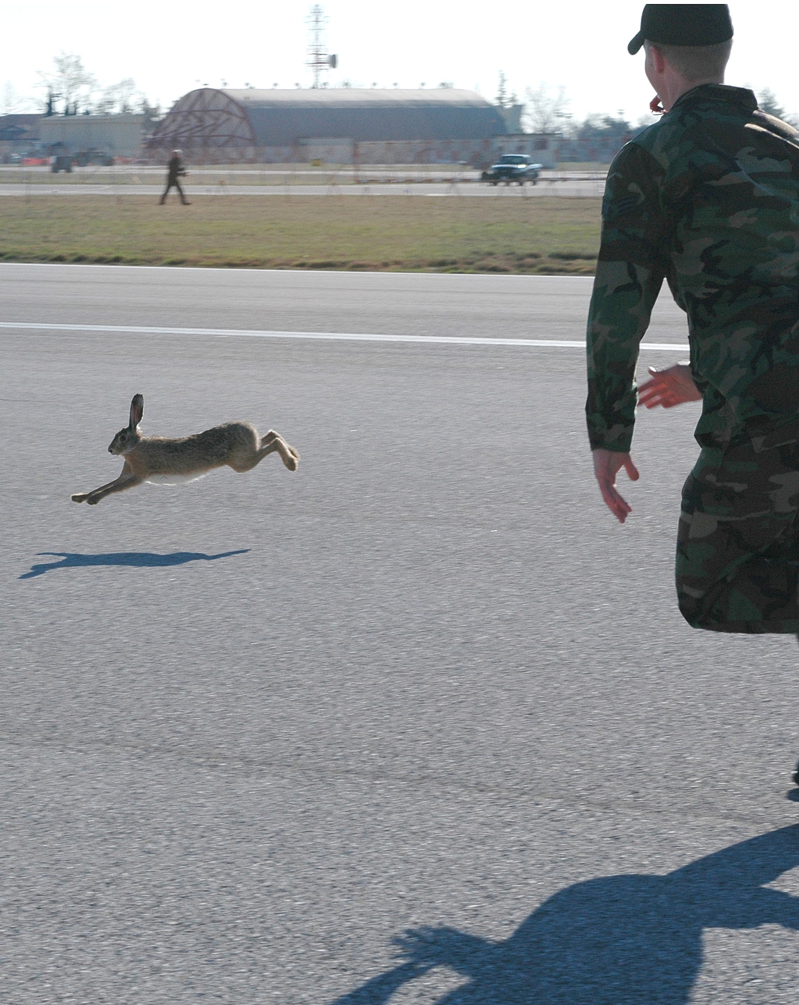 Senior Airman Josh McFall, 31st Maintenance Squadron PMEL technician, tries to prevent a rabbit from escaping during the roundup. Airman McFall decided to participate in the rabbit round up because it was something out of the ordinary. “I thought it would be kind of lame, but it was actually a lot of fun,” he said.   (U.S. Air Force photo by Staff Sgt. Colleen Wieman) 