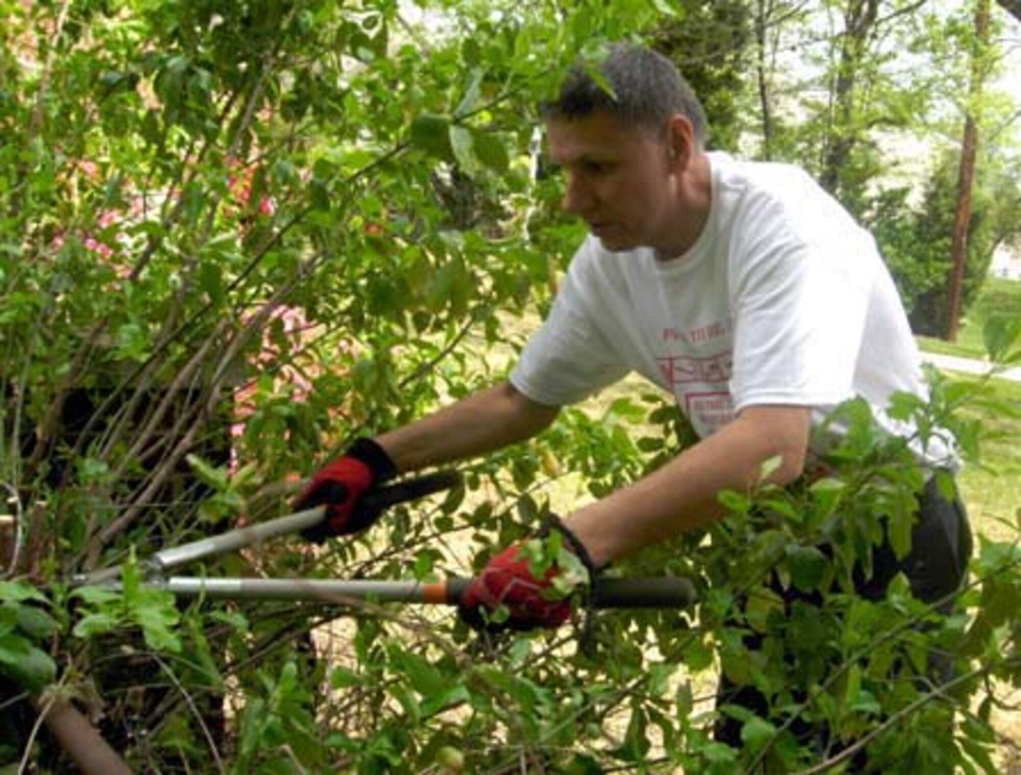 CAPITOL HEIGHTS, Md. -- Tech. Sgt. Stanley Konopka, 69th Aerial Port Squadron transportation specialist, trims some hedges during "Christmas in April" April 28. The program helps local residents through volunteer participation in cleaning, repairs, yardwork, painting or any other needs the homeowner may have. Typical resident candidates for home makeovers are elderly, disabled, low-income or a combination of all. This year, the 459th Air Refueling Wing sent more than 30 volunteers to help improve an area home. The 459th ARW is a Reserve component of the USAF. (U.S. Air Force photo/Staff Sgt. Amaani Lyle)