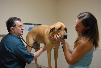 Dr. Richard Avery listens to Melia's heartbeat through a stethoscope during her yearly routine check-up at the Veterinary Clinic, while owner Heather Linville looks on. (U.S. Air Force photo by Rich McFadden)