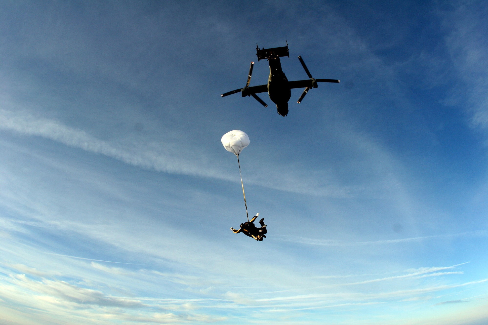Tandem jumpers from the U.S. Army Golden Knights parachute team freefall below an Air Force Special Operations Command CV-22 Osprey over MacDill Air Force Base, Fla., April 26.  The Osprey and aircrew are from the 8th Special Operations Squadron at Hurlburt Field, Fla. (Department of Defense photo)