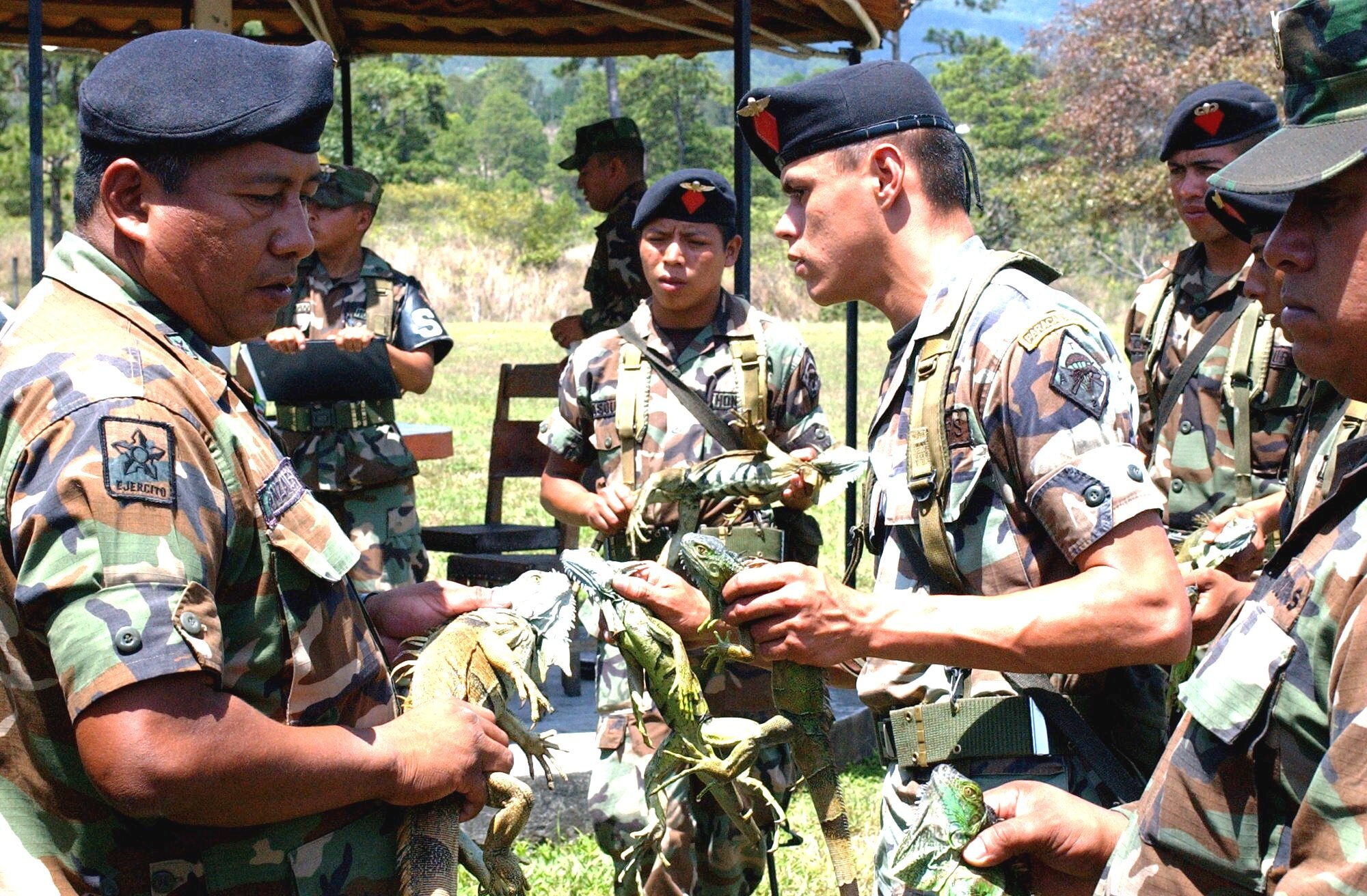 TAMARA DROP ZONE, Honduras – Participants from Iguana Voladora hold iguanas during the closing ceremony for the airborne operations. Each country released an iguana onto the drop zone, a tradition that has continued each year of Iguana Voladora, signifying the end of the exercise.  (U.S. Air Force photo/Tech. Sgt. Sonny Cohrs)