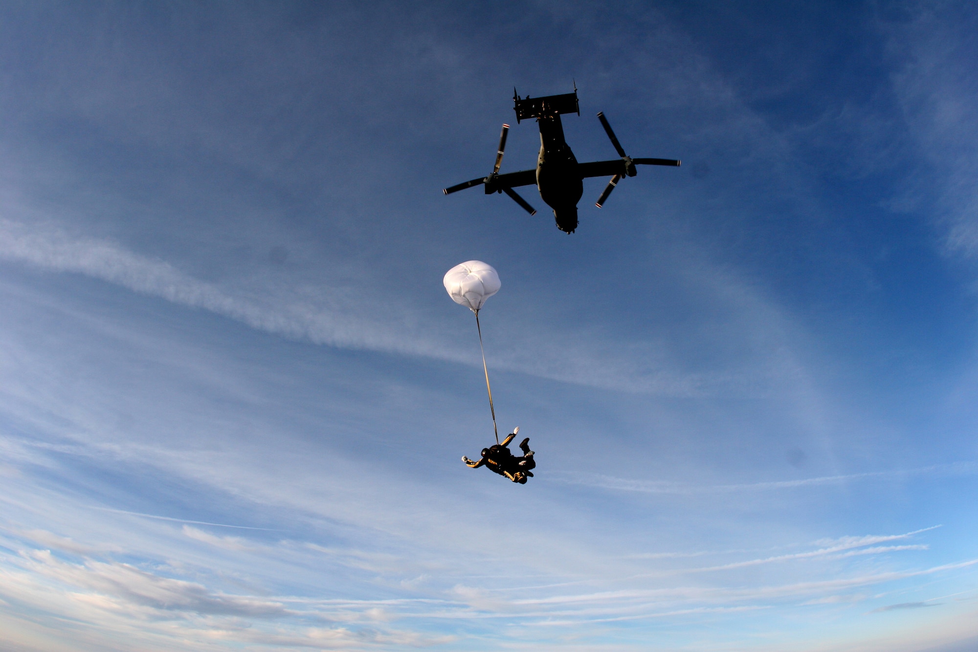 Tandem jumpers from the U.S. Army Golden Knights Parachute Team freefall after jumping from an Air Force Special Operations Command CV-22 Osprey over MacDill Air Force Base, Fla., April 26.  The Osprey and aircrew are from the 8th Special Operations Squadron at Hurlburt Field, Fla. (Department of Defense photo)