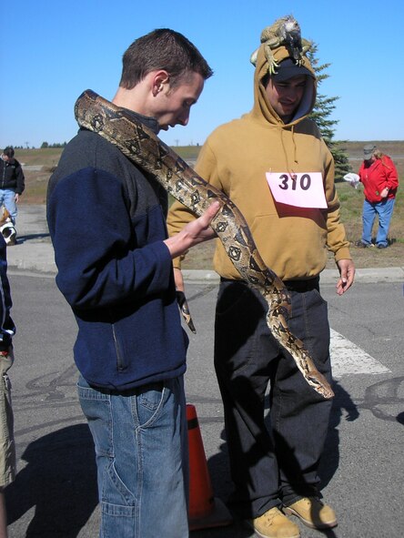 FAIRCHILD AIR FORCE BASE, Wash. -- Dash, a Columbia boa owned by Curtis Stalworthy, and Sly, an iguana owned by Robert Lent, tied for third place in the most unusual pet category at the Base Exchange pet show May 5. (Photo by Stephani Edington) 