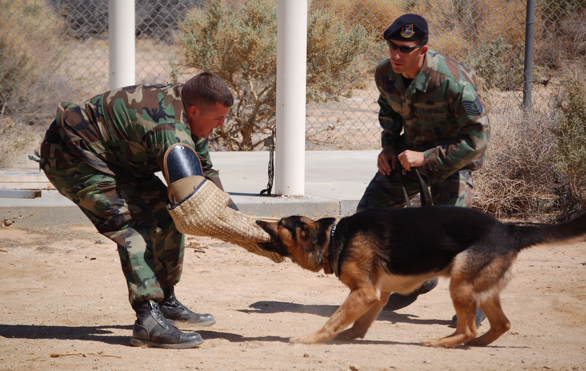 Tech. Sgt. John Ricci (right), 95th Security Forces Squadron military working dog handler, guides his K-9, Eddy, during a military working dog demonstration April 30. (Photo by Airman 1st Class Stacy Sanchez)