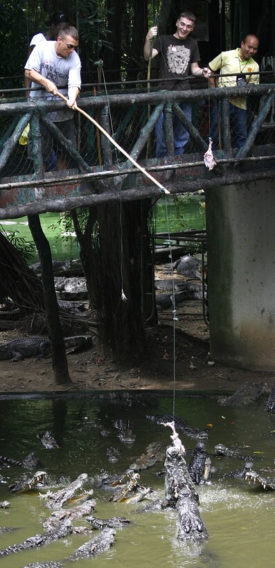 Sgt. Scott Whittington, combined task force operations noncommissioned officer for Cobra Gold 2007, feeds crocodiles at the Sriracha Tiger Zoo. Several U.S. service members participating in Cobra Gold visited the zoo May 12. Cobra Gold is an annual, multilateral exercise, now in its 26th year, gives the U.S., Thailand and their Pacific partners skills to come together and act decisively at a moment's notice to meet any contingency that could threaten the security and stability of the region. (Official Cobra Gold 2007 Photo by: Cpl. Mark Fayloga) (Released) (Official Cobra Gold 2007 Photo by: Cpl. Mark Fayloga) (Released)