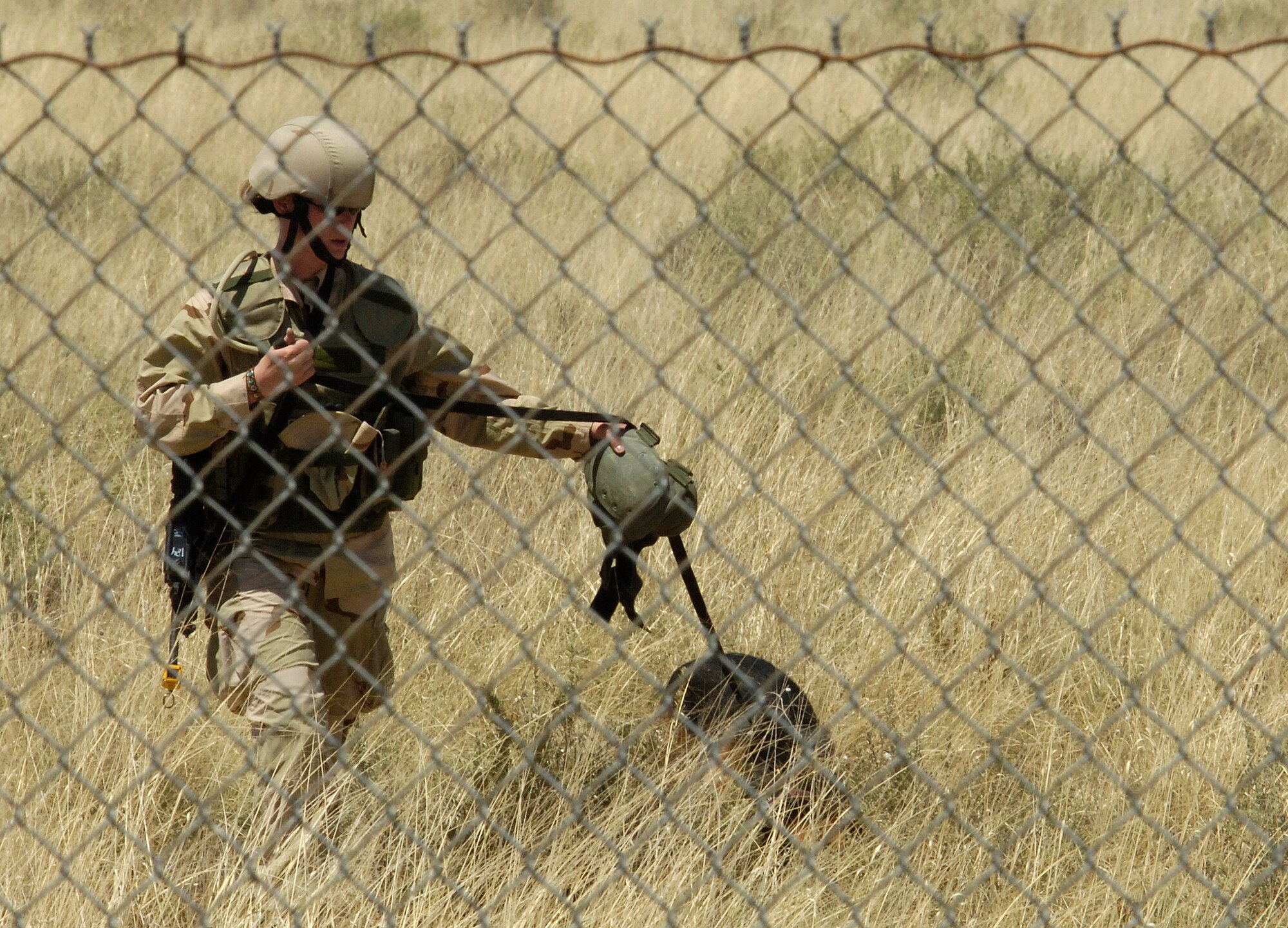 A 49th Security Forces Squadron Airman and canine performs a sweep outside the wire of the simulated deployed location Holloman's Phase II exercise. (U.S. Air Force photo by Airman 1st Class Michael Means)