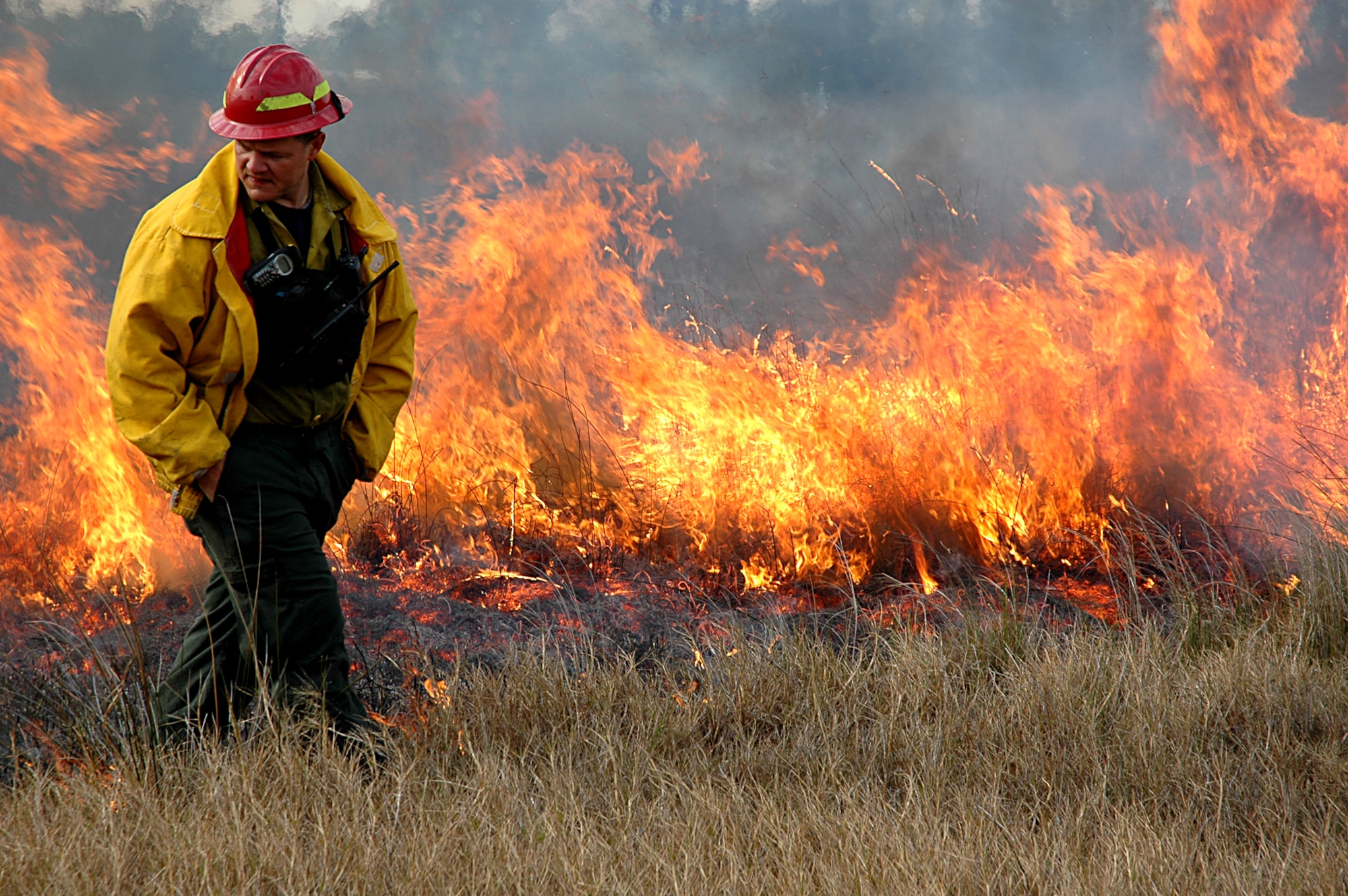 Terry Walter monitors a control burn Feb. 15 near the Enlisted Club at Tyndall Air Force Base, Fla. Members of 325th Civil Engineer Squadron Natural Resources flight have contained two small fires on the base, which are away from any facilities and unrelated to the large wildfires currently sweeping through the state.  One fire on base was started by a lightning strike and the other by a drone launch.  The base remains unthreatened because of its use of control burns to increase fire safety and improve wildlife environments. By burning periodically, the threat of unpredictable, disastrous wildfires is reduced and ecological rejuvenation occurs, providing a better environment for Tyndall's 46 federally protected and endangered plant and animal species. Mr. Walter is the wildland fire program manager for the 325th Civil Engineer Squadron. (U.S. Air Force photo) 
