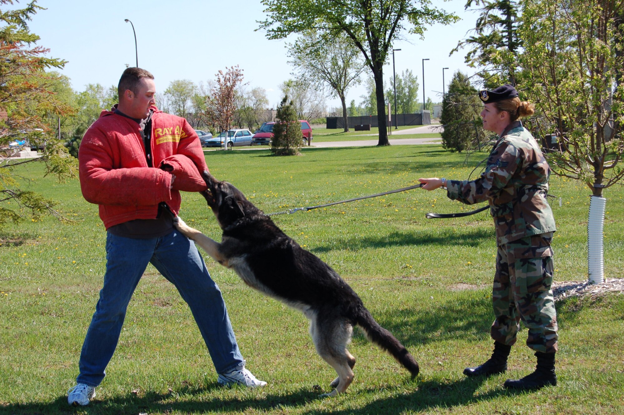 Staff Sgt. John Havlik, 319th Security Forces Squadron, plays an intruder during the military working dog demonstration for Police Week May 16. Senior Airman Shannon Sebera commands Avar to apprehend the intruder. (U.S. Air Force photo/ Airman 1st Class Ashley Coomes)