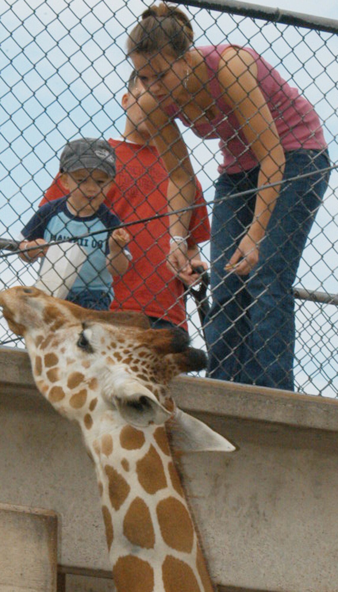 DYESS AIR FORCE BASE, Texas -- Jane Gary and son, Ethan (2), feed a giraffe at the Abilene Zoo with husband and father Senior Airman Richard Gary (background) May 19 at "Zoolute to Dyess." The Zoo staff and community of Abilene host Zoolute annually to thank military servicemembers. Events include free zoo passes for military and dependents, food and entertainment (U.S. Air Force photo/Airman 1st Class Carolyn Viss)