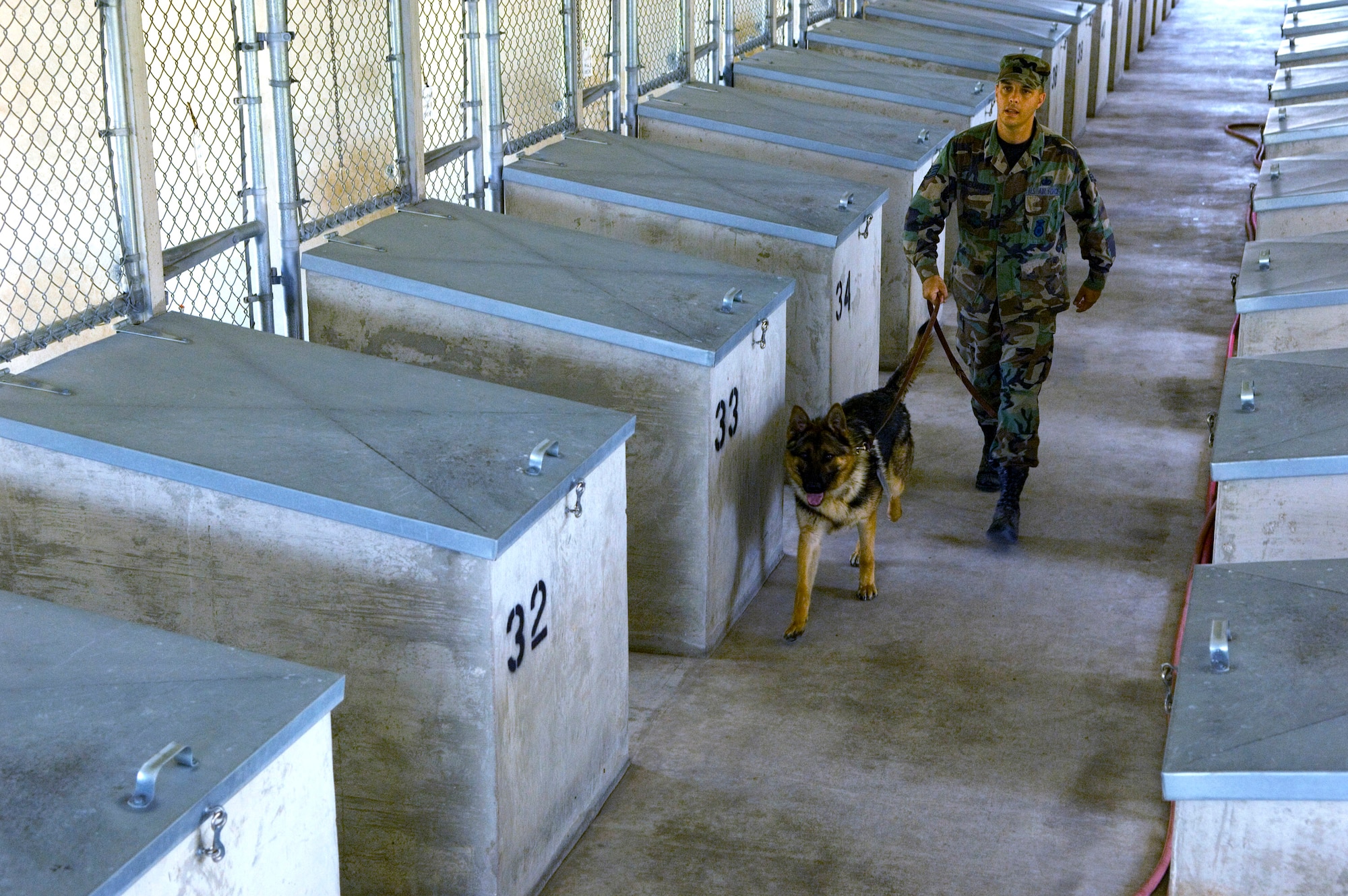 After a day of training is done at the "canine boot camp," Staff Sgt. Shawn Alexander returns a military working dog to the "barracks." The 341st Training Squadron at Lackland Air Force Base, Texas, trains more than 1,300 dogs DOD-wide for patrol and bomb/drug detection in the field. (U.S. Air Force photo/Tech. Sgt. Matt Hannen)
