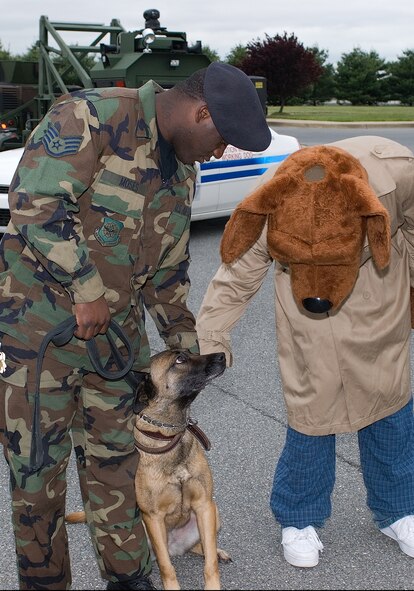 DOVER AIR FORCE BASE, Del. -- McGruff the Crime Dog (Airman 1st Class Bryan Thomas, 436th SFS), pets Loeka, 436th military working dog. Loeka and her handler, Staff Sgt. Leonard Moses, 436th SFS, were on hand for a military-working-dog demonstration. (U.S. Air Force photo/Roland Balik)