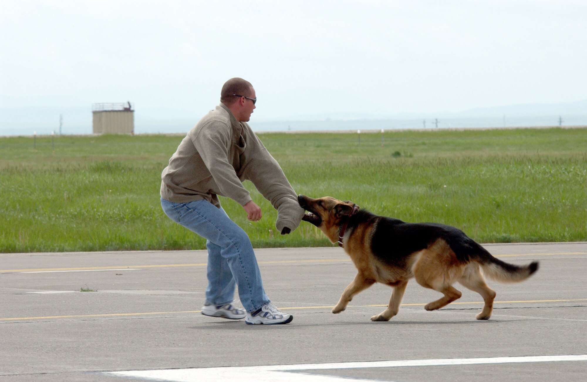A security forces member gets attacked by a military working dog during the K-9 demonstration that showcased the dog's ability to attack, obey orders and sniff out narcotics. The event was part of Malmstrom's two-day open house and air show May 20 and 21. (U.S. Air Force photo by John Turner)