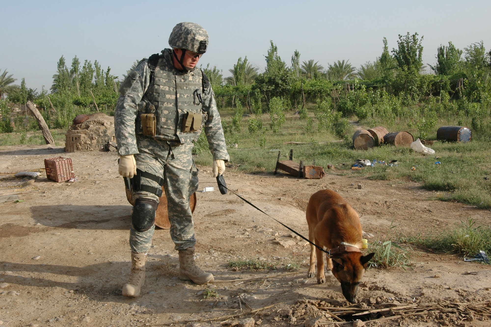 Staff Sgt. Dennis Browning, a military working dog handler with the 21st Security Forces Squadron, and King, an explosives and patrol attack dog, search the area during a clearing operation near Khan Bani Sa’ad, about 15 miles south of Baqouba, Iraq, May 15. Soldiers from 3rd Brigade Combat Team, 1st Cavalry Division, searched the villages for evidence of insurgent activity in the area. (U.S. Army photo by Sgt. Armando Monroig)