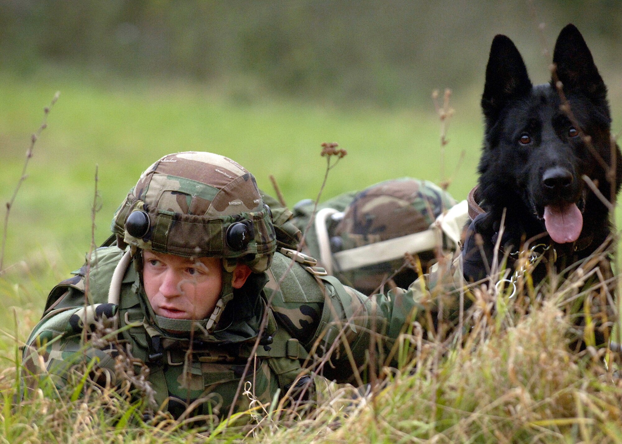 Staff Sgt. Jonathan Beaver and his partner Brutus, a 4-year-old German Shepherd, react to "hostile fire" Oct. 26 as part of a two-week pre-deployment integrated base defense course known as Creek Defender at Baumholder U.S. Army Garrison in southern Germany. Sergeant Beaver is a K-9 handler with the 435th Security Forces Squadron at Ramstein Air Base, Germany. (U.S. Air Force photo/Master Sgt. Scott Wagers)