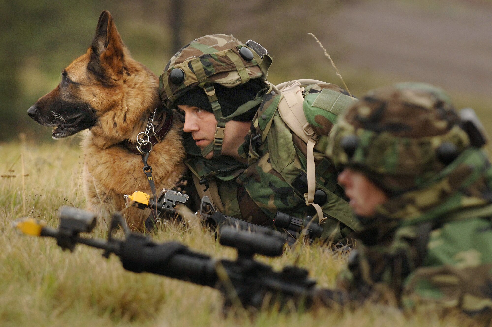 Staff Sgt. Mark Reidl, his partner Lord, an 8-year-old German Shepherd, and 1st Lt. Kristen Congelosi (foreground) react to "hostile fire" Oct. 26 during a two-week pre-deployment integrated base defense course known as Creek Defender at Baumholder U.S. Army Garrison in southern Germany. Sergeant Reidl is a K-9 handler with the 435th Security Forces Squadron at Ramstein Air Base, Germany, and Lieutenant Cogelosi is with the 100th Security Forces Squadron at Royal Air Force Mildenhall, England. (U.S. Air Force photo/Master Sgt. Scott Wagers) 