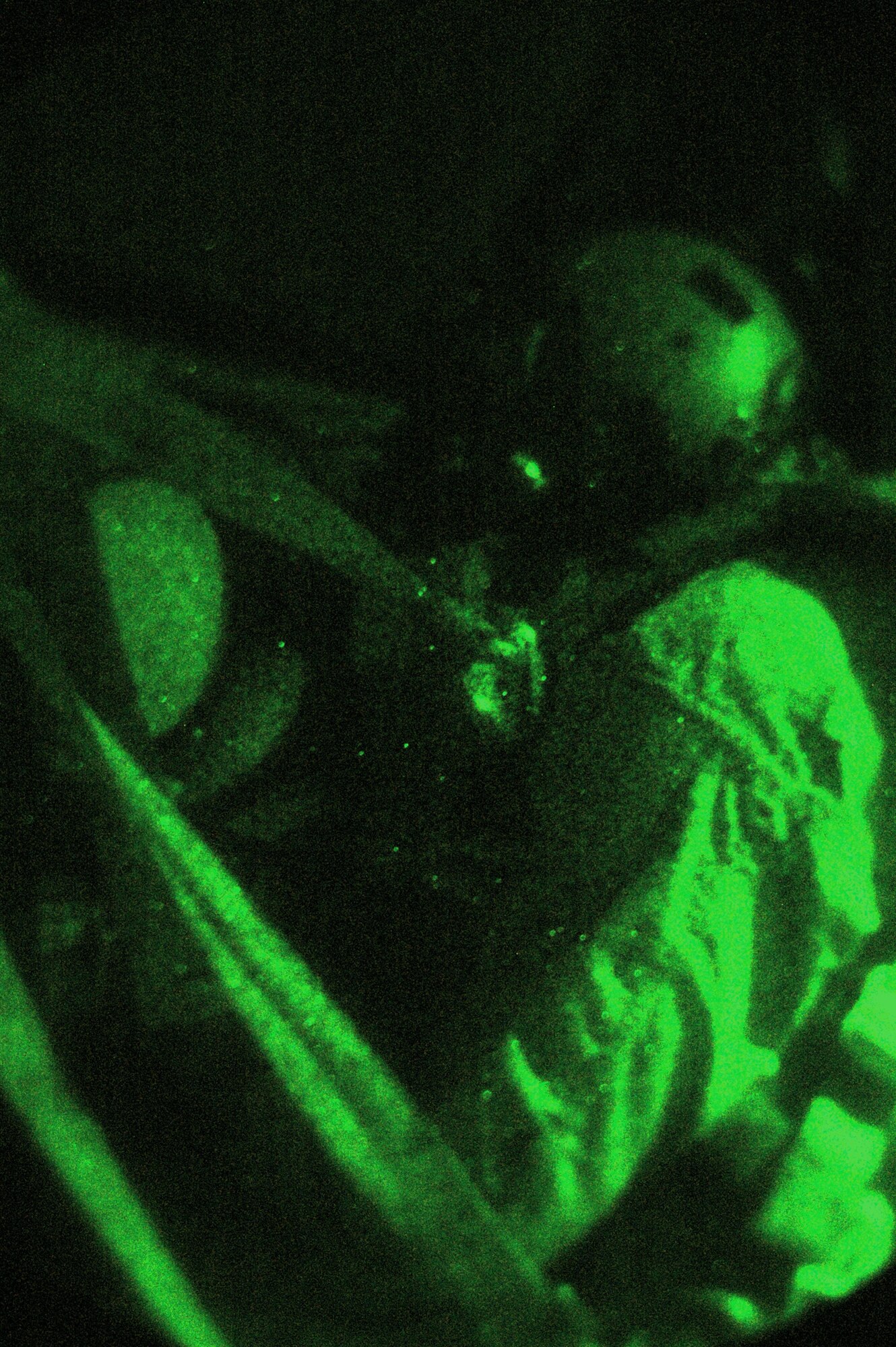 SOUTHWEST ASIA - Tech. Sgt. Kevin Letz, 40th Expeditionary Airlift Squadron loadmaster, watches through a C-130 window during a leaflet drop mission. Sergeant Letz watches for enemy activity using night vision to assist ensuring the safety of the crew and aircraft from possible enemy attack. Sergeant Letz is deployed from Dyess Air Force Base, Texas. (U.S. Air Force photo/Staff Sgt. Jason Barebo