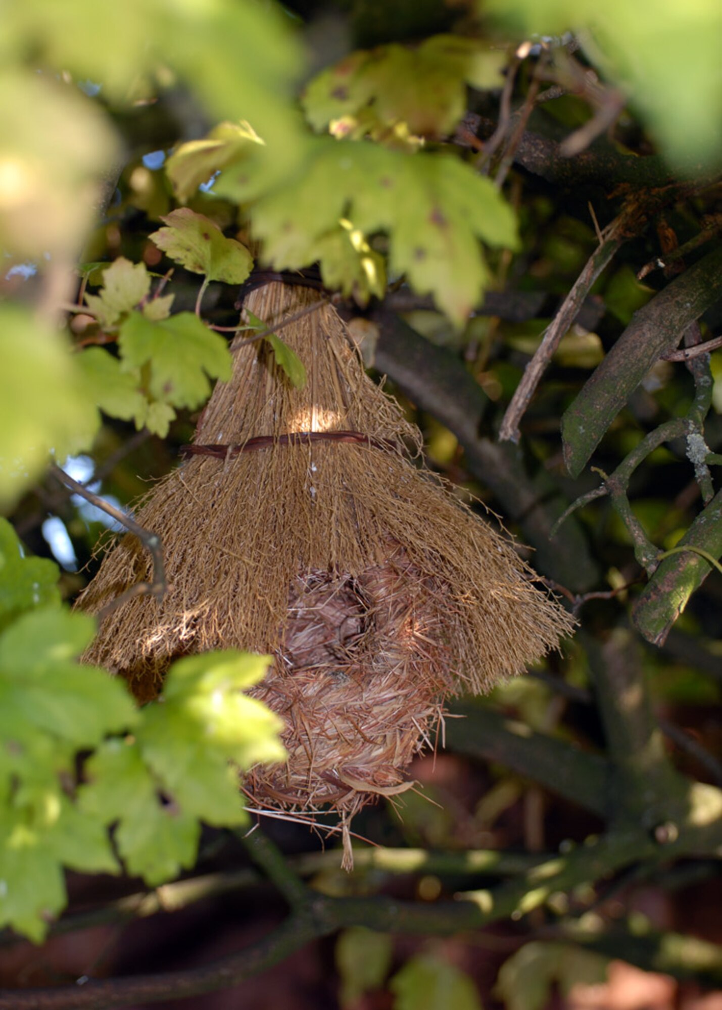 Shown here is a bird-roosting pocket for protection at night. (U.S. Air Force photo by Judith Wakelam)